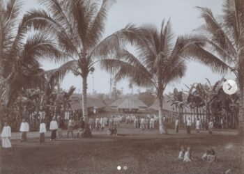 Sejarah Perkebunan Karet di Aceh Timur Masa Kolonial Tahun 1907-1939
