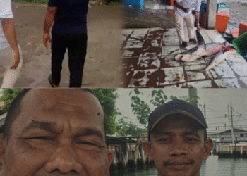 Kabid Perikanan Tangkap DKP Aceh, Samsul Bahri Percepat Realisasi dan Inventarisasi Aset Pelabuhan Perikanan di Pidie Jaya