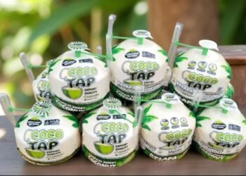 Indatu D’ Coco, Inovasi Aceh Angkat Potensi Kelapa Lokal ke Pasar Nasional