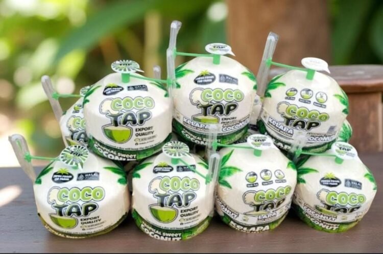 Indatu D’ Coco, Inovasi Aceh Angkat Potensi Kelapa Lokal ke Pasar Nasional