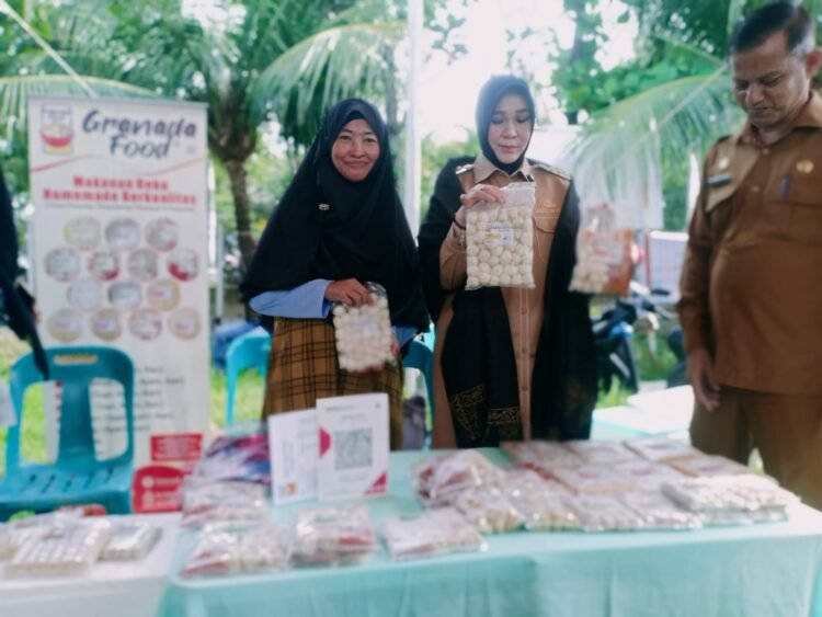 Granada Food, Usaha Rumahan yang Tawarkan Frozen Food Sehat di Aceh Besar