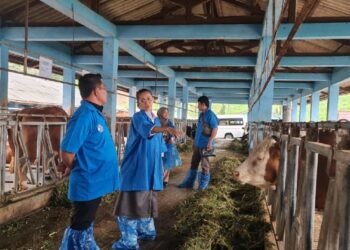 Fokus Kembangkan Peternakan, Bupati Aceh Besar Kunjungi Balai Embrio Ternak Cipelang