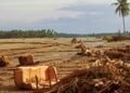 Cerita Korban Banjir Aceh di Cot Ara: Harapan pada Sawah yang Terkubur Lumpur