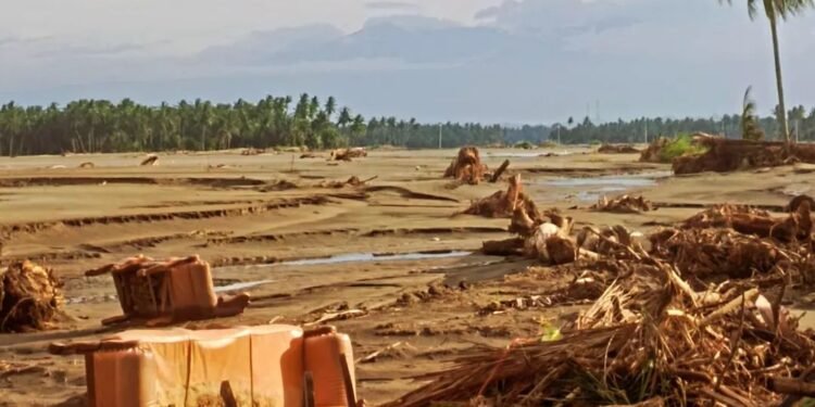 Cerita Korban Banjir Aceh di Cot Ara: Harapan pada Sawah yang Terkubur Lumpur