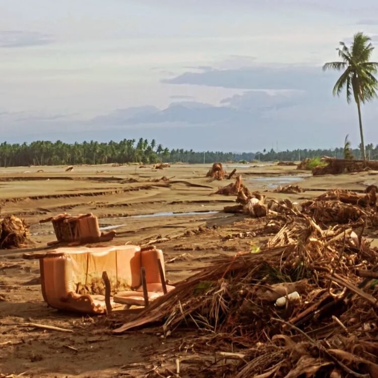 Cerita Korban Banjir Aceh di Cot Ara: Harapan pada Sawah yang Terkubur Lumpur