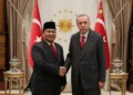Menakar Prospek Kemitraan Strategis RI-Turkiye: Keuntungan bagi Indonesia