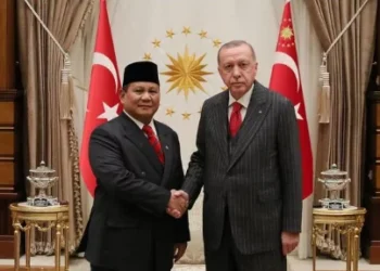 Menakar Prospek Kemitraan Strategis RI-Turkiye: Keuntungan bagi Indonesia