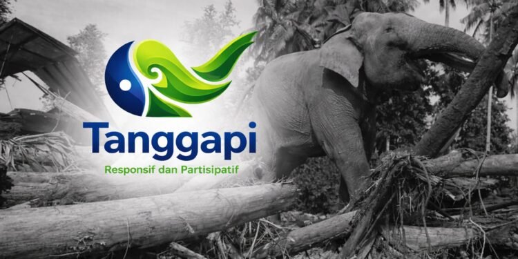 “Centang Gajah”: Donasi Desain untuk Penguatan Dashboard Tanggapi Aceh Berbasis Data