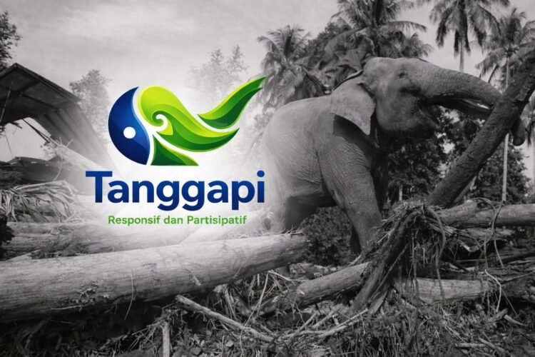 “Centang Gajah”: Donasi Desain untuk Penguatan Dashboard Tanggapi Aceh Berbasis Data