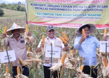 Bupati Aceh Besar Ajak Tenaga Kesehatan Layani Masyarakat Dengan Keikhlasan Hati