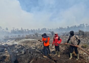 Karhutla Melanda Enam Kabupaten di Aceh, Polisi Buru Pelaku Pembakaran Lahan