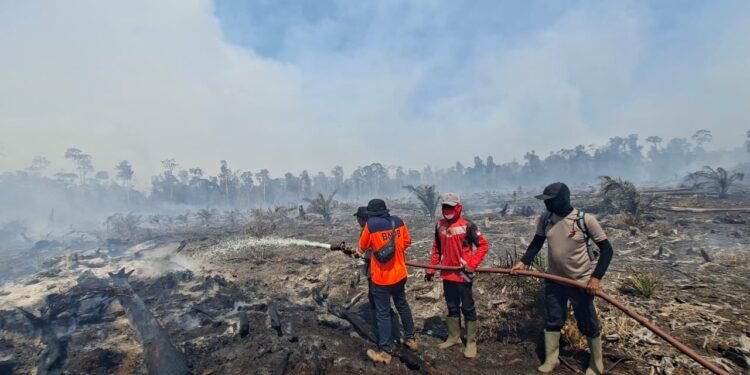 Karhutla Melanda Enam Kabupaten di Aceh, Polisi Buru Pelaku Pembakaran Lahan
