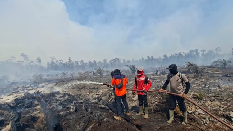 Karhutla Melanda Enam Kabupaten di Aceh, Polisi Buru Pelaku Pembakaran Lahan