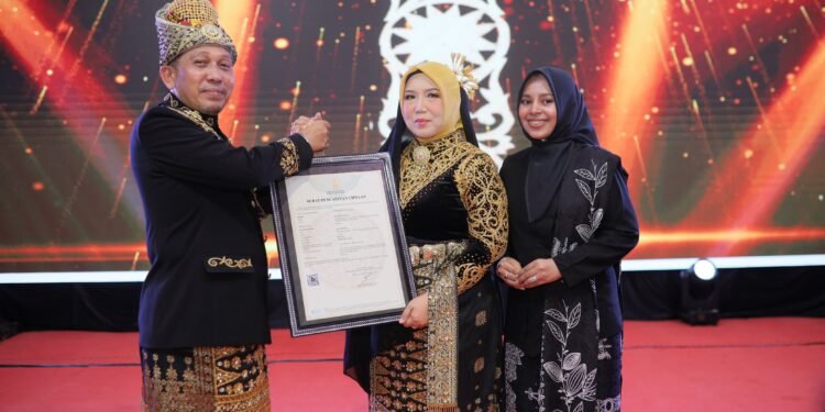 Desainer Wastra Pidie Jaya Ukir Sejarah, Tiga Motif Khas Pidie Jaya Raih HAKI