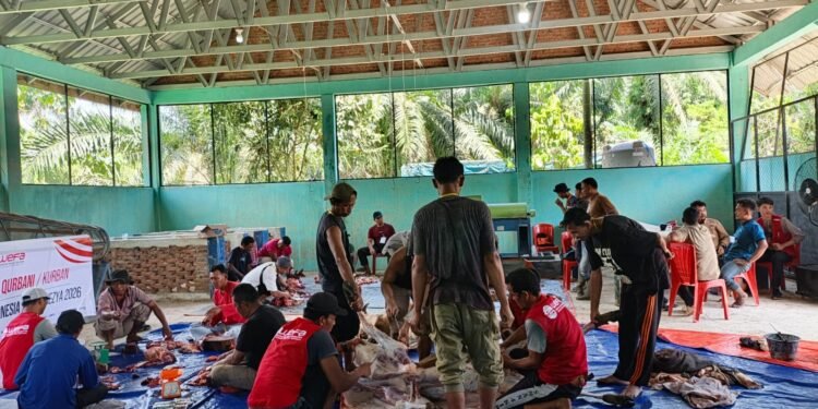 Aceh–Turki: Kemanusiaan, Kurban, dan Jaringan Alumni