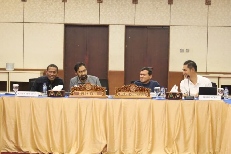 Kak Na: TP Posyandu Aceh Dukung Upaya Kemenkes Capai Target Cakupan Vaksinasi dan IDL