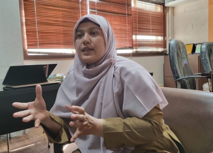 Dua IUP Eksplorasi di Beutong Ateuh Masih Tahap Penelitian, ESDM Aceh Buka Suara
