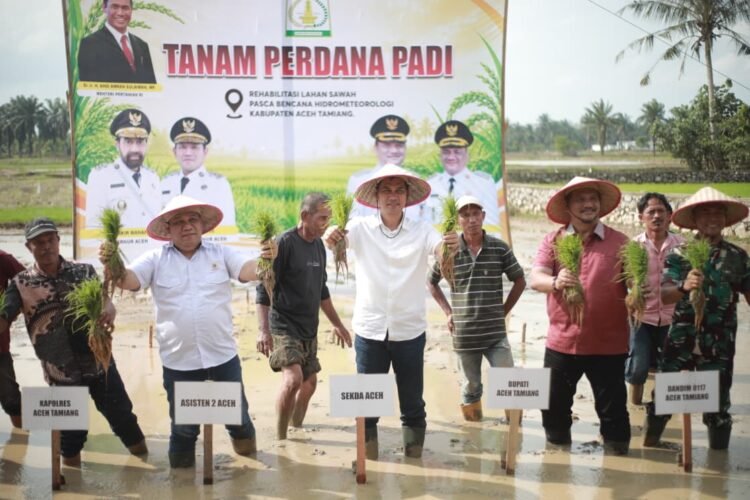 Pimpin Tanam Padi Perdana Pasca Bencana, Sekda Aceh: Jaga Stabilitas Pangan Tetap Aman