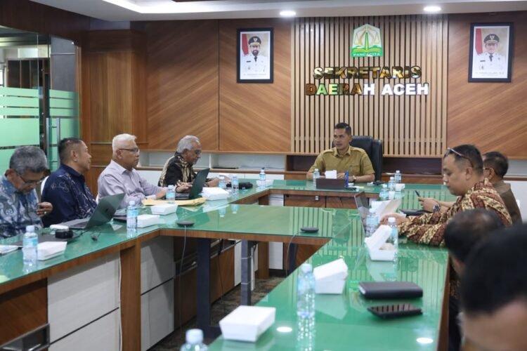 Migas Blok Andaman, Sejumlah Korporasi Lirik Hilirisasi KEK Arun