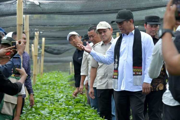 Mentan Apresiasi Kinerja Pemerintah Aceh, Janji Terus Dukung Pengembangan Pertanian dan Kopi Gayo
