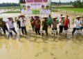 Pemerintah Aceh Pacu Pemulihan Sawah Terdampak Bencana Hidrometeorogi