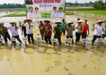 Pemerintah Aceh Pacu Pemulihan Sawah Terdampak Bencana Hidrometeorogi