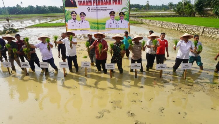 Pemerintah Aceh Pacu Pemulihan Sawah Terdampak Bencana Hidrometeorogi