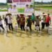 Pemerintah Aceh Pacu Pemulihan Sawah Terdampak Bencana Hidrometeorogi