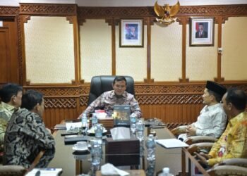 Wagub Aceh Ikuti RDPU Komisi II DPR RI Bahas Remunerasi Kepala Daerah hingga Peningkatan PAD