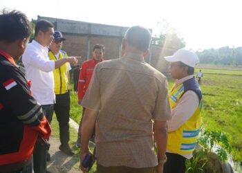 Sekda Aceh Tinjau Rehabilitasi Sawah di Aceh Timur, Dorong Percepatan Pemulihan Sektor Pertanian