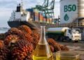 Potensi Besar Hilirisasi Perkebunan Aceh, Penciptaan Ragam Produk Turunan Hingga Bioenergi