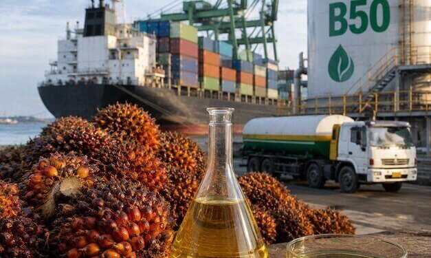Potensi Besar Hilirisasi Perkebunan Aceh, Penciptaan Ragam Produk Turunan Hingga Bioenergi