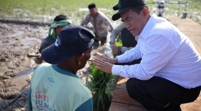 Pemerintah Aceh Jelaskan Posisi Dukungan Program Pemulihan Sektor Pertanian Rp2,5 Triliun