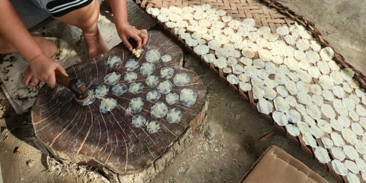 Emping Melinjo Beureueh, Pidie Terancam Bahan Baku, Pengrajin Berharap Dukungan Pascabanjir