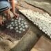 Emping Melinjo Beureueh, Pidie Terancam Bahan Baku, Pengrajin Berharap Dukungan Pascabanjir
