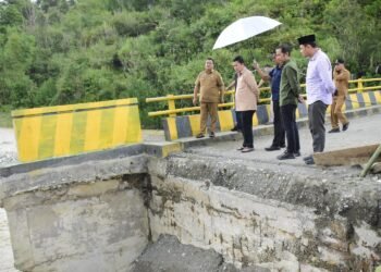 Bencana, Tambang, dan Kebun Kopi yang Terancam: Kebijakan Haili Yoga Merugikan Aceh Tengah?