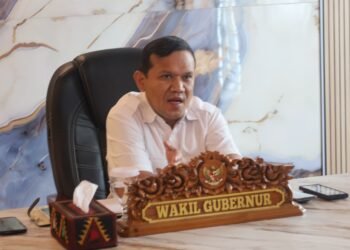 Wagub Dek Fadh Minta Kabupaten/Kota Perkuat Koordinasi dengan BWS dan BPJN