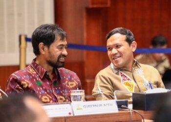 Revisi UUPA Jadi Usul Inisiatif Dewan, Mualem-Dek Fadh Apresiasi DPRI-RI