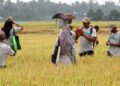Rata-Rata Pendapatan Pekerja Informal Aceh Rp1,70 Juta, Lebih Rendah dari Angka Nasional