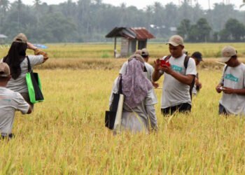 Rata-Rata Pendapatan Pekerja Informal Aceh Rp1,70 Juta, Lebih Rendah dari Angka Nasional