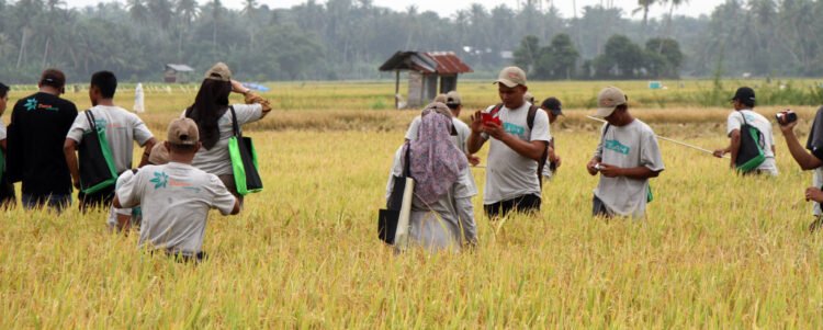 Rata-Rata Pendapatan Pekerja Informal Aceh Rp1,70 Juta, Lebih Rendah dari Angka Nasional