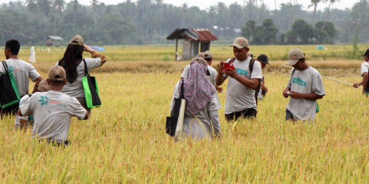 Rata-Rata Pendapatan Pekerja Informal Aceh Rp1,70 Juta, Lebih Rendah dari Angka Nasional