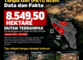 Dilema Tambang Ilegal (PETI) di Aceh