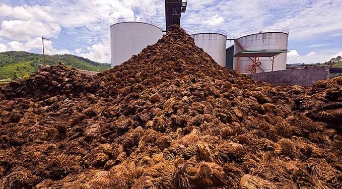 Peluang Limbah Sawit Jadi Cuan, Bisakah Aceh Mengoptimalkannya?