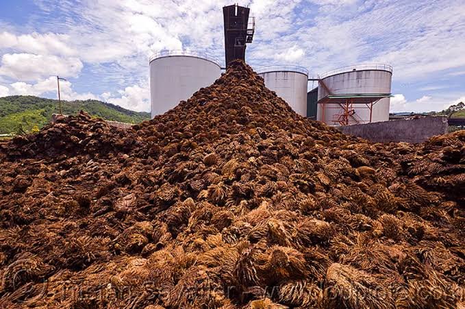 Peluang Limbah Sawit Jadi Cuan, Bisakah Aceh Mengoptimalkannya?